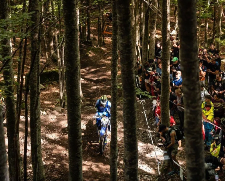 Abestone Gold Final FC WM 73