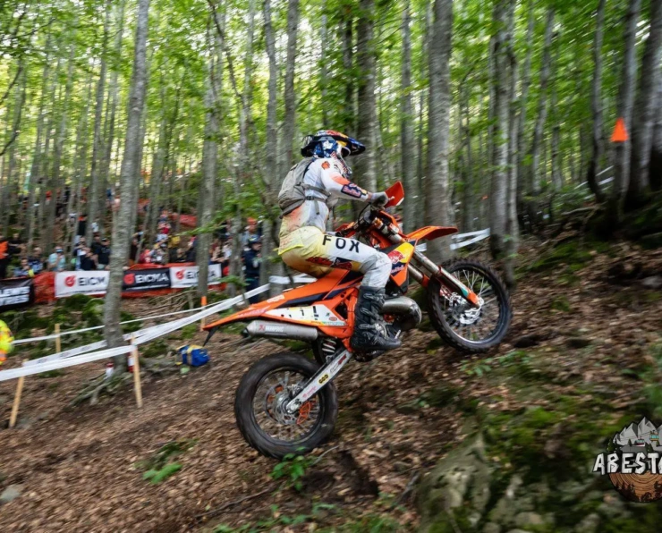 Abestone Gold Sprint Race FC WM 217