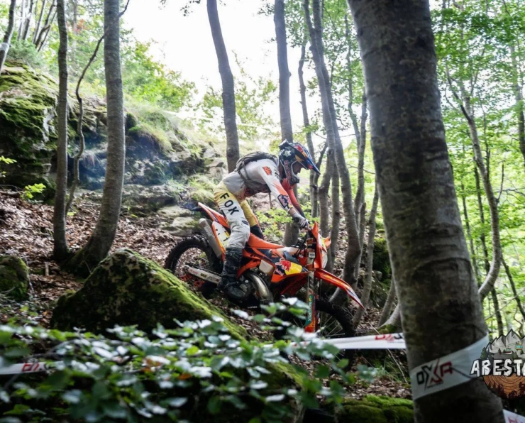 Abestone Gold Sprint Race FC WM 218
