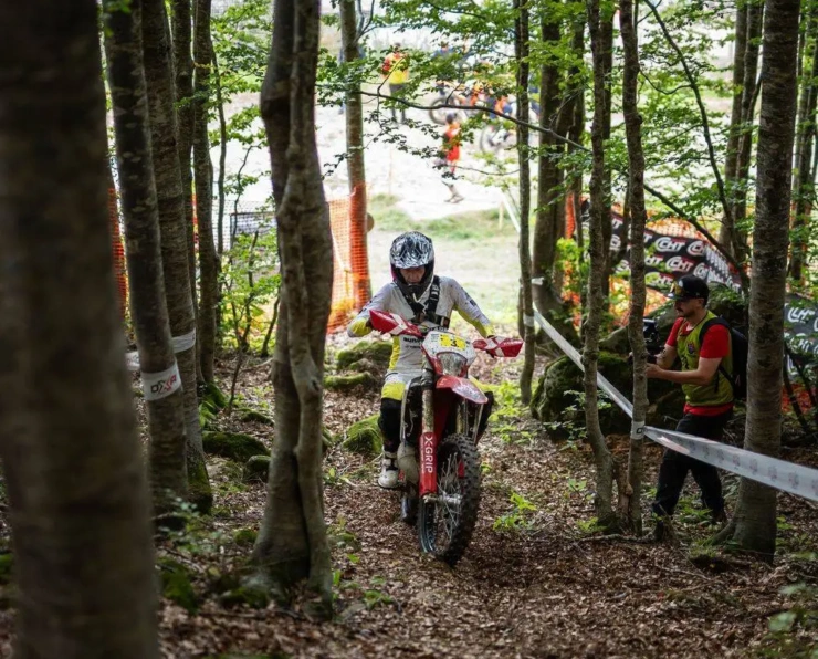 Abestone Gold Sprint Race FC WM 233