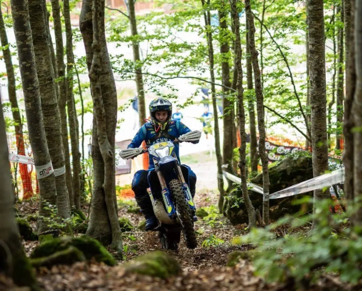 Abestone Gold Sprint Race FC WM 234
