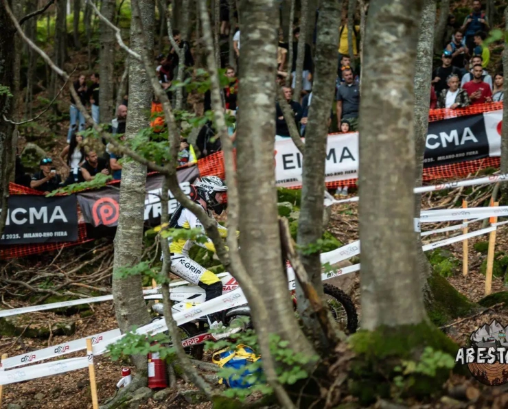 Abestone Gold Sprint Race FC WM 235