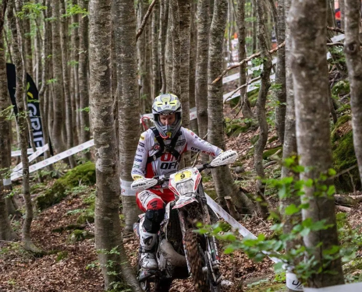 Abestone Gold Sprint Race FC WM 251