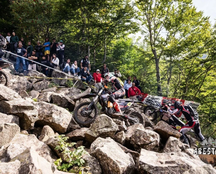 Abestone Gold Sprint Race FC WM 90