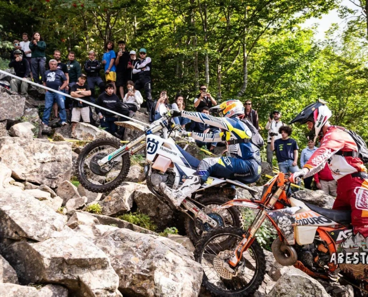 Abestone Gold Sprint Race FC WM 91