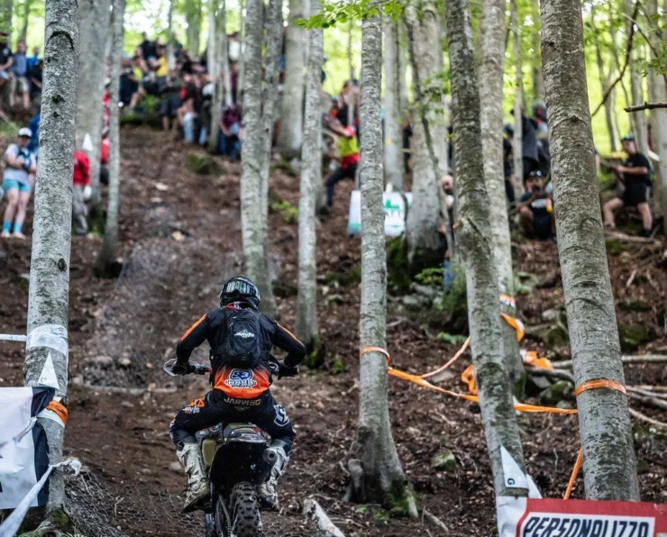 Abestone Gold Sprint Race GG WM 11