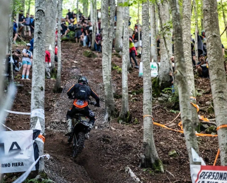 Abestone Gold Sprint Race GG WM 12