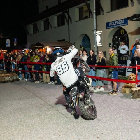 Abestone Show FC WM 41